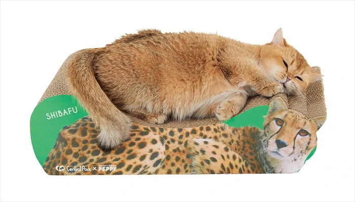 【姫セン】大人気の動物たちがペット用グッズに！ 姫センとペット用品通販ペピイがコラボ