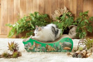 【姫セン】大人気の動物たちがペット用グッズに！ 姫センとペット用品通販ペピイがコラボ