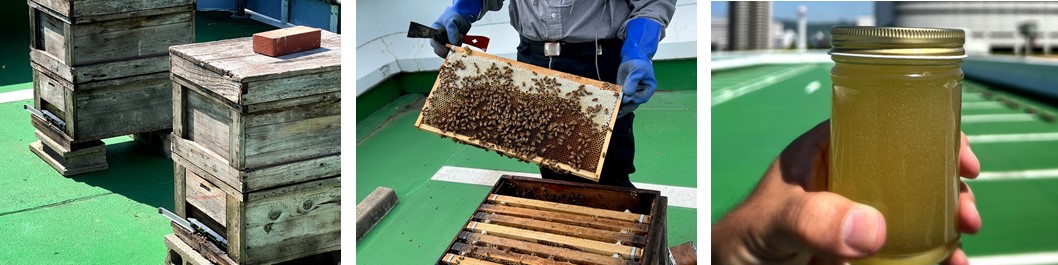 人工島ポートアイランドで初めての養蜂。「はちみつの日」より販売│神戸