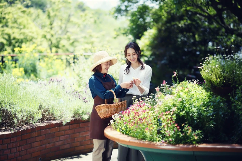 【神戸市】夏休みの自由研究は「ハーブ」を使った「ハーブ図鑑」で少しおしゃれに｜神⼾布引ハーブ園