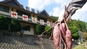 「さつまいもフェア」で食べ比べ、掘り比べ体験。かさがた温泉せせらぎの湯│市川町