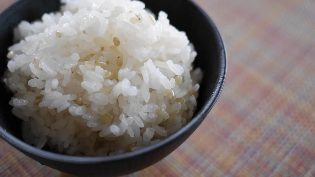 神河町で古代米「緑米」がすくすく。プチプチとした食感が楽しい