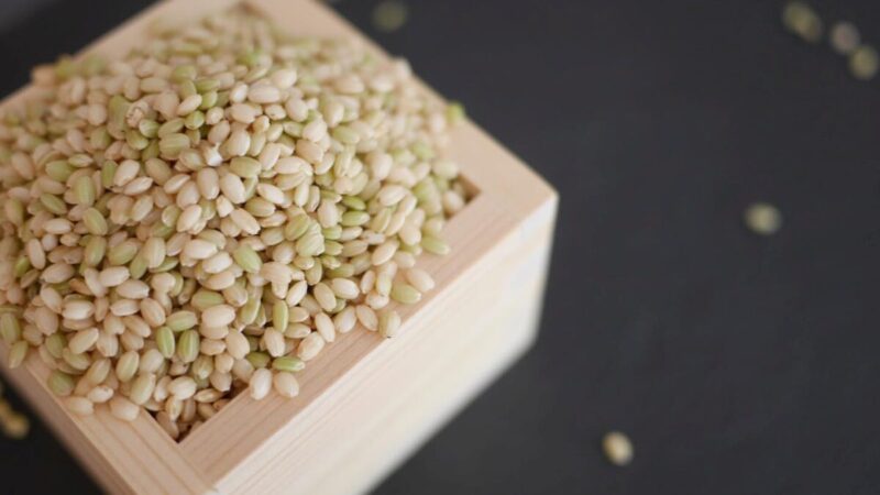 神河町で古代米「緑米」がすくすく。プチプチとした食感が楽しい