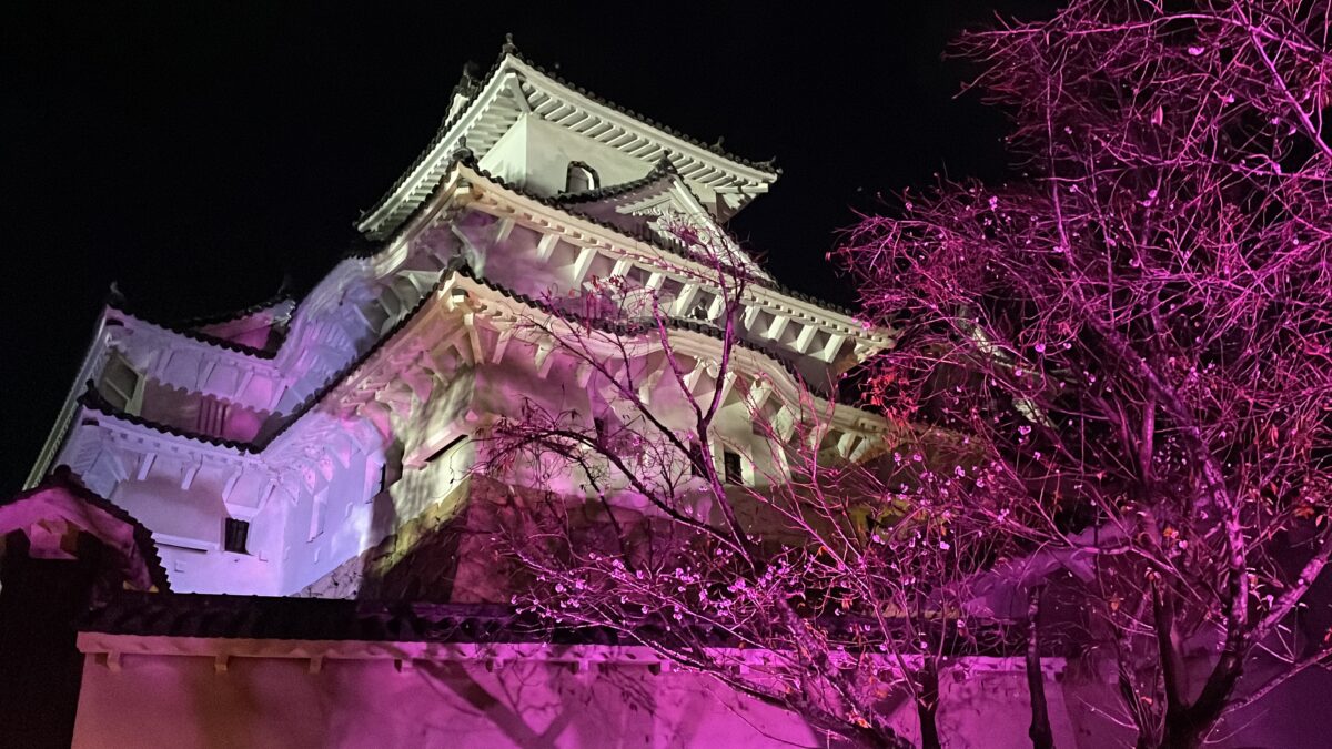 【姫路城】ナイトイベント2022「シロノヒカリ 千の願い、月への想い」へ行ってきた