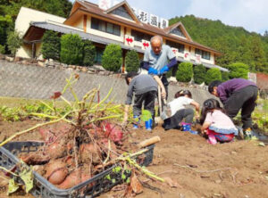 【市川町】さつまいもの収穫体験と直売イベント「さつまいもフェア」が開催｜かさがた温泉せせらぎの湯