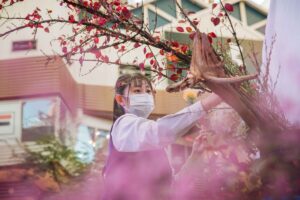 全国高校生花いけバトル 近畿大会、相愛高校チームが優勝