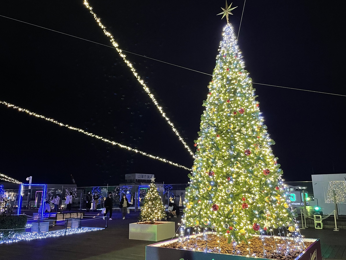 姫路駅北にぎわい交流広場でクリスマスイルミネーション「Garden Christmas2022」