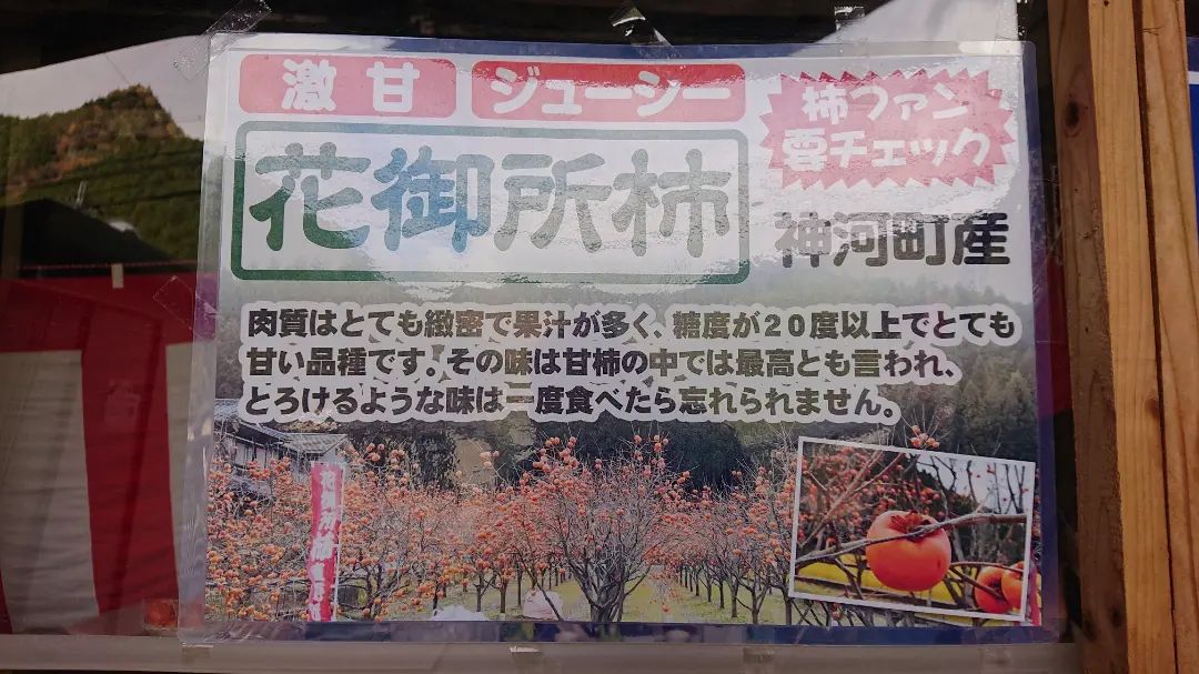 秋の味覚、神河町「花御所柿」一般販売スタート