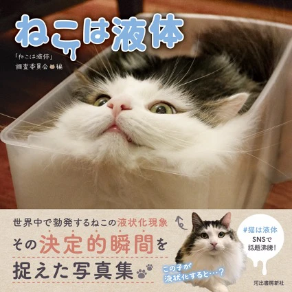 世界中で勃発するねこの液状化現象を捉えた写真集『ねこは液体』が発売