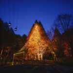 神戸のクリスマスの新スポット。夜空にそびえる高さ25mの「森のクリスマスツリー」がスタート｜神戸布引ハーブ園