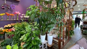 大学生企画の返礼品、形に。ふるさと納税サイトで提供開始｜福崎町