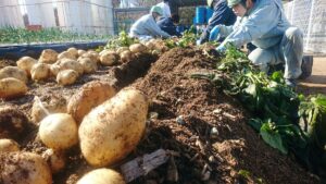 廃材パレットを堆肥として活用。環境配慮、循環型社会の実現を目指す｜福崎町