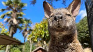 姫路セントラルパーク、動物の赤ちゃんの名前が決定