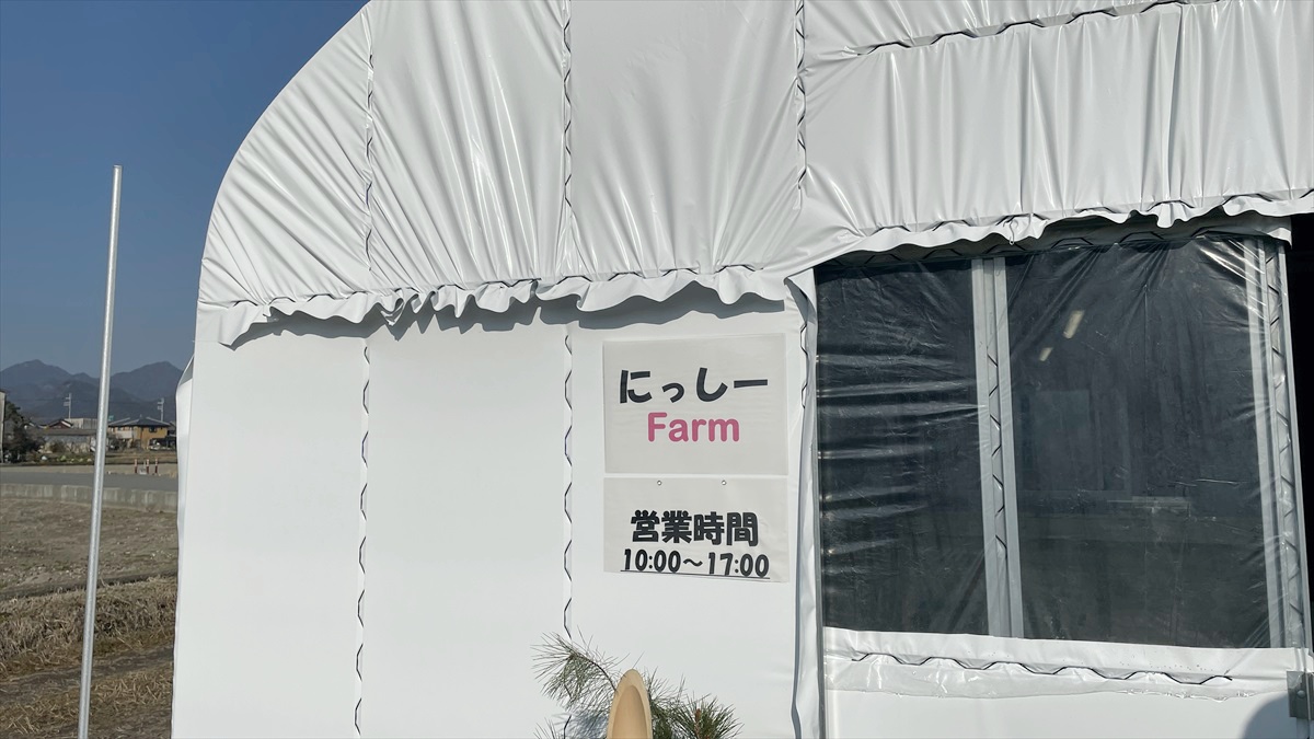 いちご農園「にっしーFarm」がオープン。摘みたてイチゴが30分食べ放題│市川町