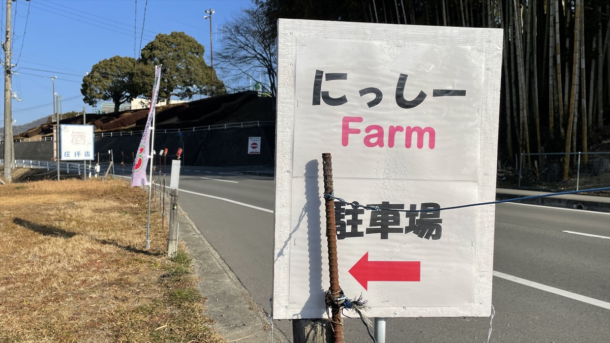 いちご農園「にっしーFarm」がオープン。摘みたてイチゴが30分食べ放題│市川町