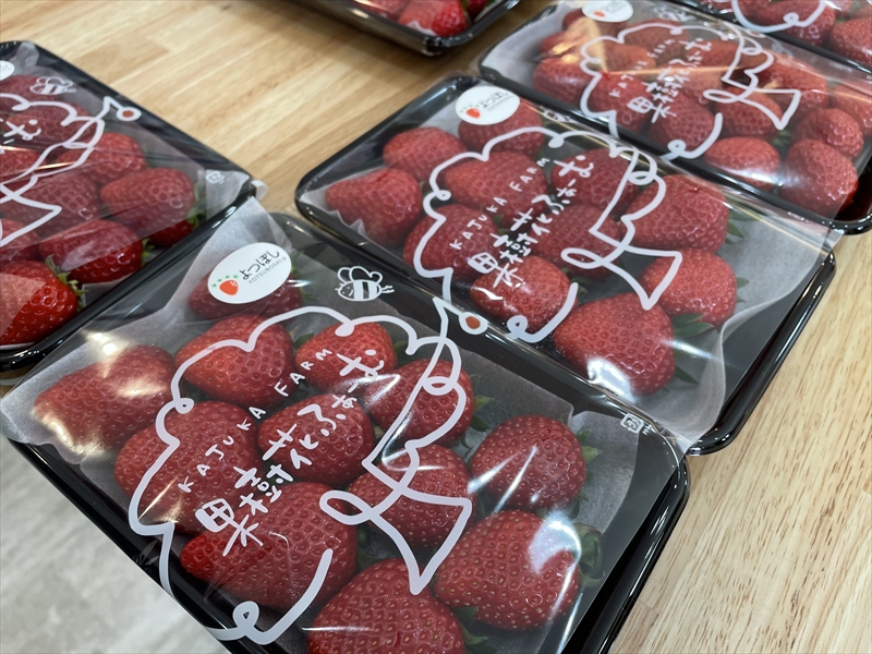 【加西市】苺とジェラートのお店『果樹花ふぁーむ』に行ってきた