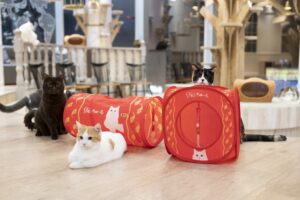 「猫の日」に発売！CIAOちゅ～る初のブランドブックが発売