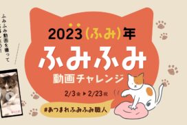 猫の最強しぐさ「ふみふみ」が猫の日に大集合！2023「ふみふみ動画チャレンジ」開催