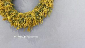 ドルチェリア ミモザ プリマヴェーラ