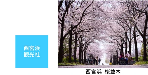 西宮浜総合公園が全面開園。「みやっこオープニングフェスティバル」開催