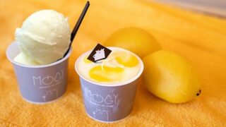 サウナー必見！「MOGY」と「おふろcafé utatane」のコラボで生まれた “ととのう”スイーツ「サウナソルティレモン」
