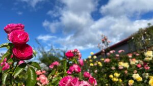 テルミローズジャルダン