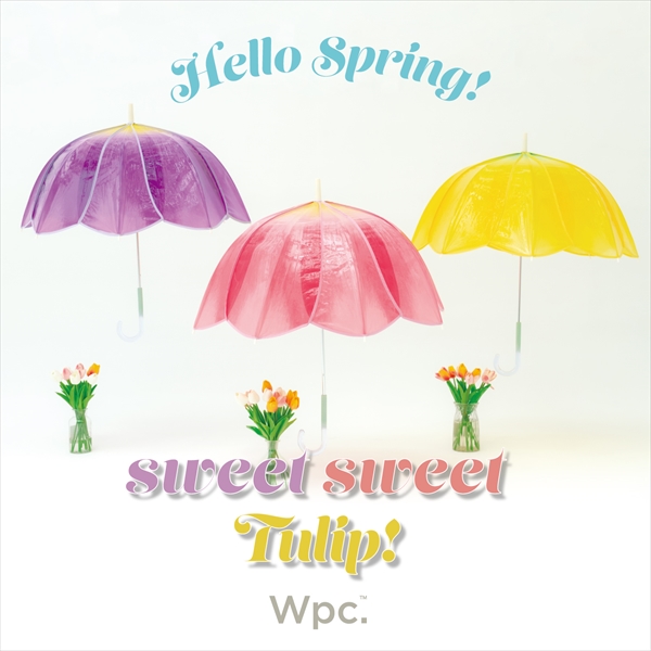憂鬱な雨の日を楽しくオシャレに過ごすWpc.の”長く使えるビニール傘”