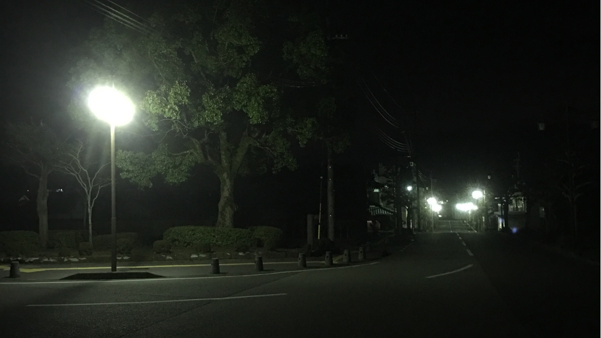 夜の辻川山公園