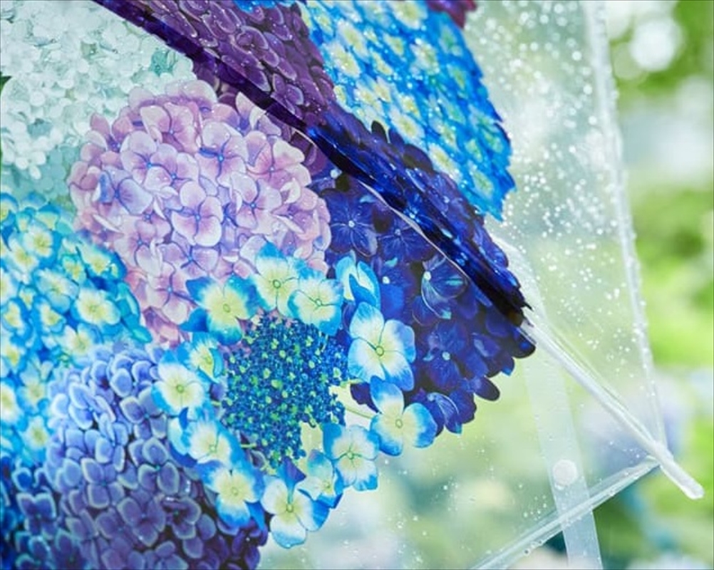 紫陽花の名所で「紫陽花の傘」を使って撮影が楽しめるイベントが全国17の施設で開催