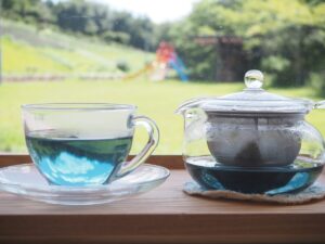 「青い風」ありそうでなかったラベンダーも入ったハーブティー登場｜多可町