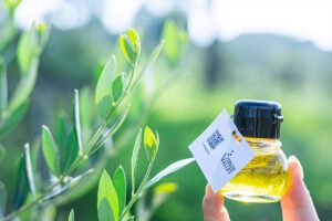 淡路島のオリーブオイルがカナダとロンドンの国際的コンペでW受賞