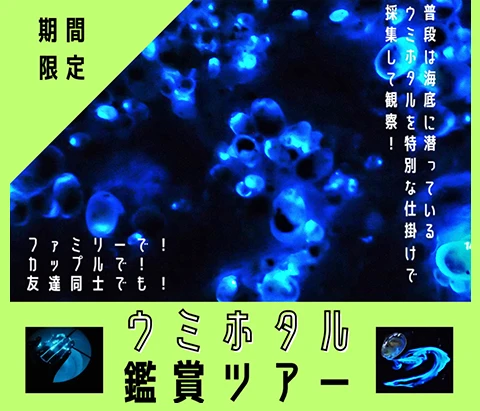 親子で過ごす、充実の夏休みに。湯村温泉の緑屋旅館にて、1泊2日の夏休み親子ワーケーション参加者募集