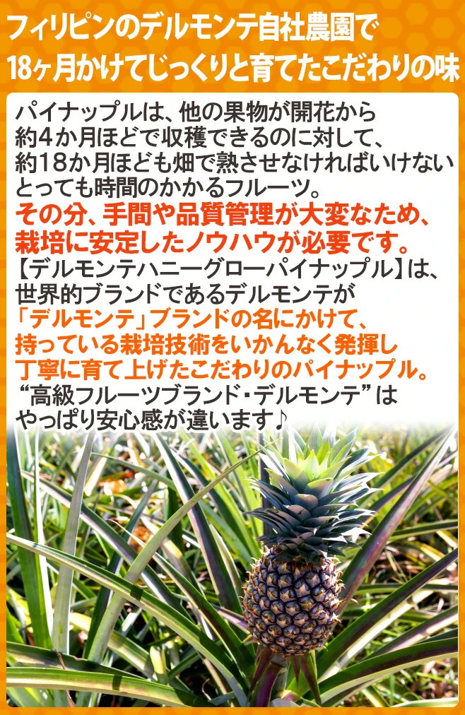 夏はつめた～いパンケーキでひんやり！生クリームをアイスに変更可能｜福崎町