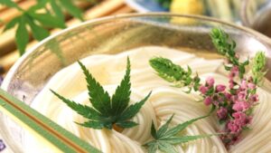 ウッドデザインパーク与位