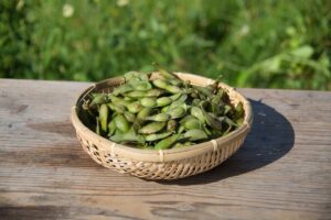 【丹波篠山市】幻の枝豆『丹波篠山黒枝豆』2023年の解禁日が10月7日に決定。ふるさと納税でも人気