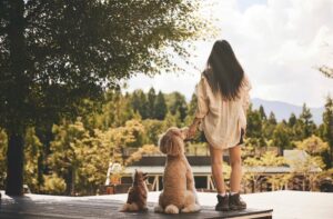 【丹波市】健康寿命を延ばすことを目的とした犬と人間のための新施設がオープン