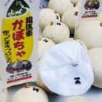 銀馬車かぼちゃ追熟でより甘く。蔵出しイベントが生野銀山で開催│朝来市