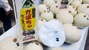 銀馬車かぼちゃ追熟でより甘く。蔵出しイベントが生野銀山で開催│朝来市