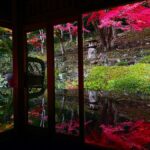 福崎町の絶景。花の寺「應聖寺」紅葉が見頃に。床もみじも楽しめる！