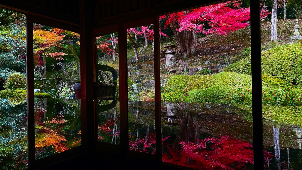 福崎町の絶景。花の寺「應聖寺」紅葉が見頃に。床もみじも楽しめる！