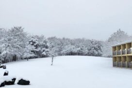 冬の便り。峰山高原リゾートで初雪。神河町