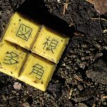 山中に現れる四文字熟語。図根多角？根角図多？の読み方、意味は