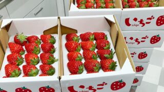 こびとぱん イチゴチョコのパンケーキ