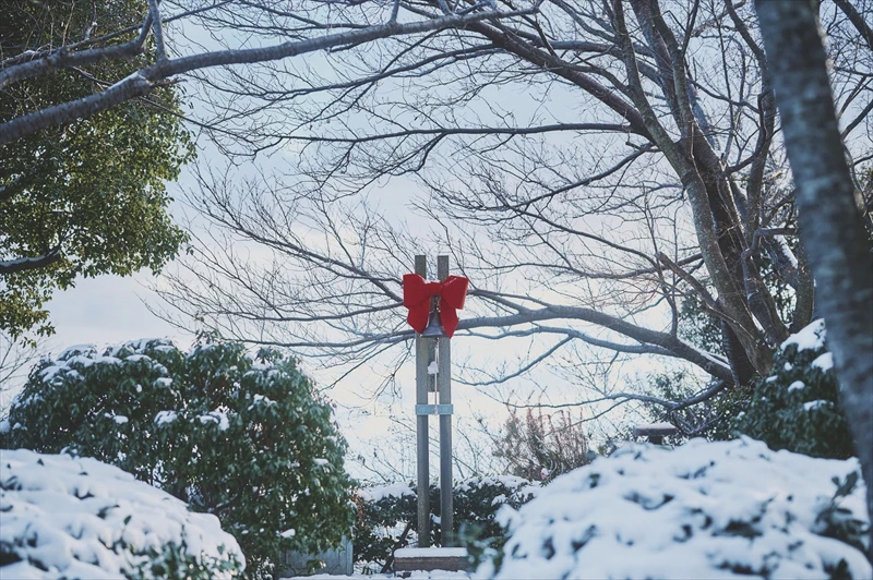 【神戸市】ほっこり心温まる。「Winter Garden Fair 2024」が開催｜神戸布引ハーブ園