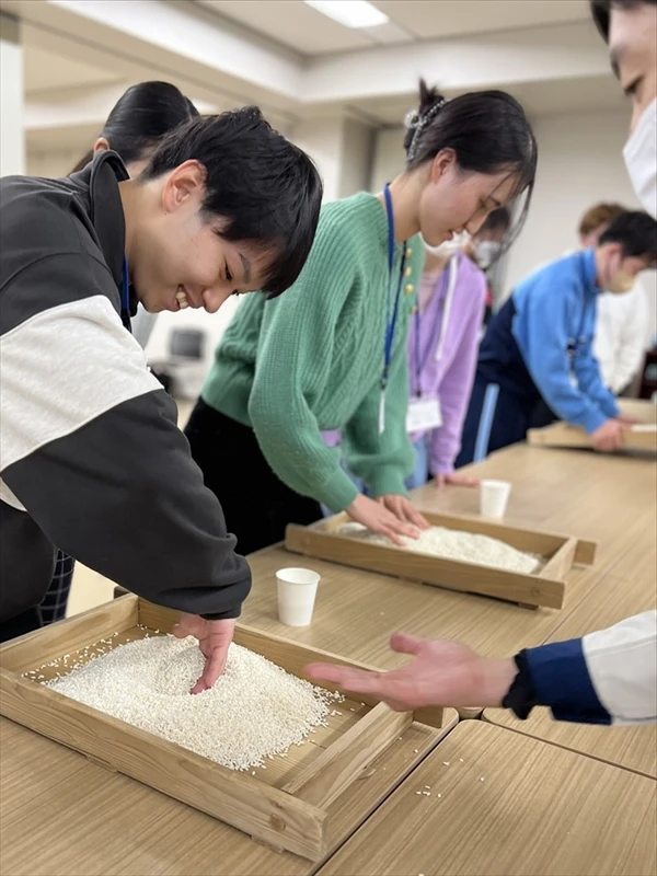 地元の大学生が田植え・稲刈りをした山田錦で酒造りを体験