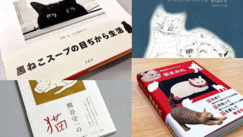 2月22日から猫の日スペシャルキャンペーン。猫関連の訳アリ美術本が特別価格に