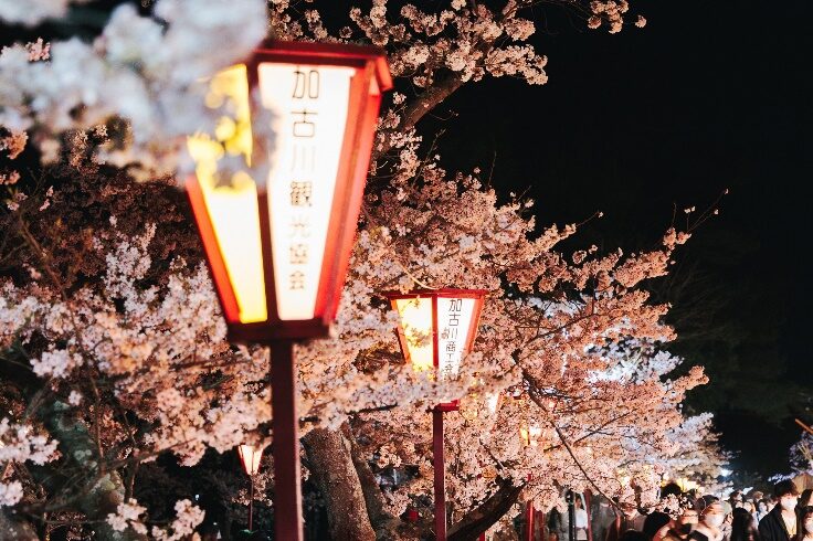 日岡山公園 ぼんぼりライトアップ｜加古川市