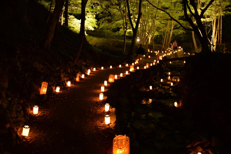 【ヤマサ蒲鉾】芝桜の小道にて4年ぶりに「夜芝桜鑑賞会」が開催｜姫路市