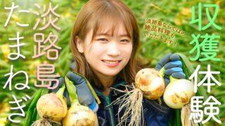 秋元真夏さんが淡路島で「淡路島たまねぎ」を収穫！ YouTube番組『ゆるふわたいむ』兵庫ロケ編が公開