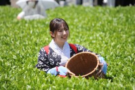 丹波篠山でお茶を楽しみませんか。「第42回大国寺と丹波茶まつり」が開催